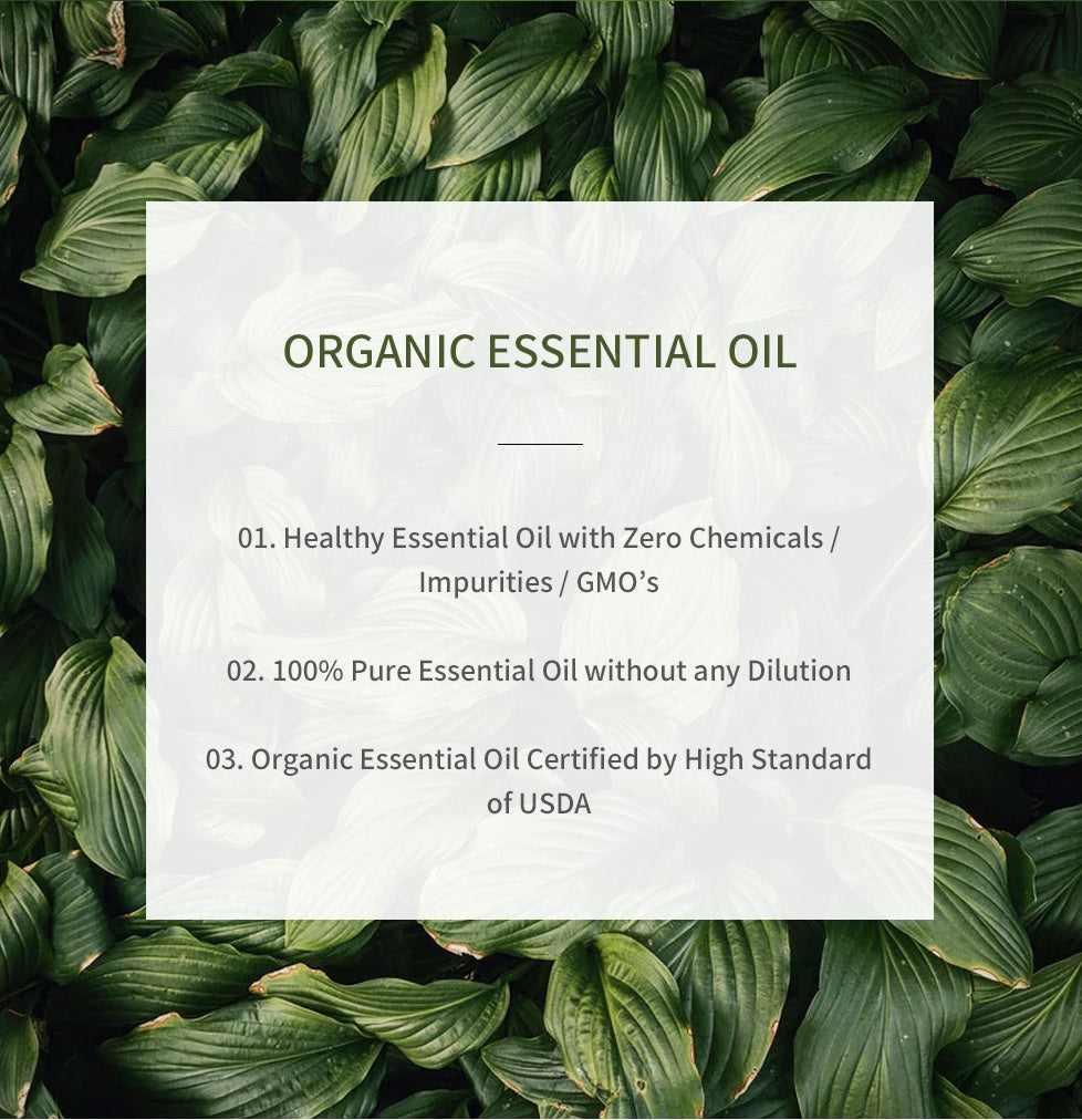 The Aroma Shop Organic Bergamot Pure Essential Oil