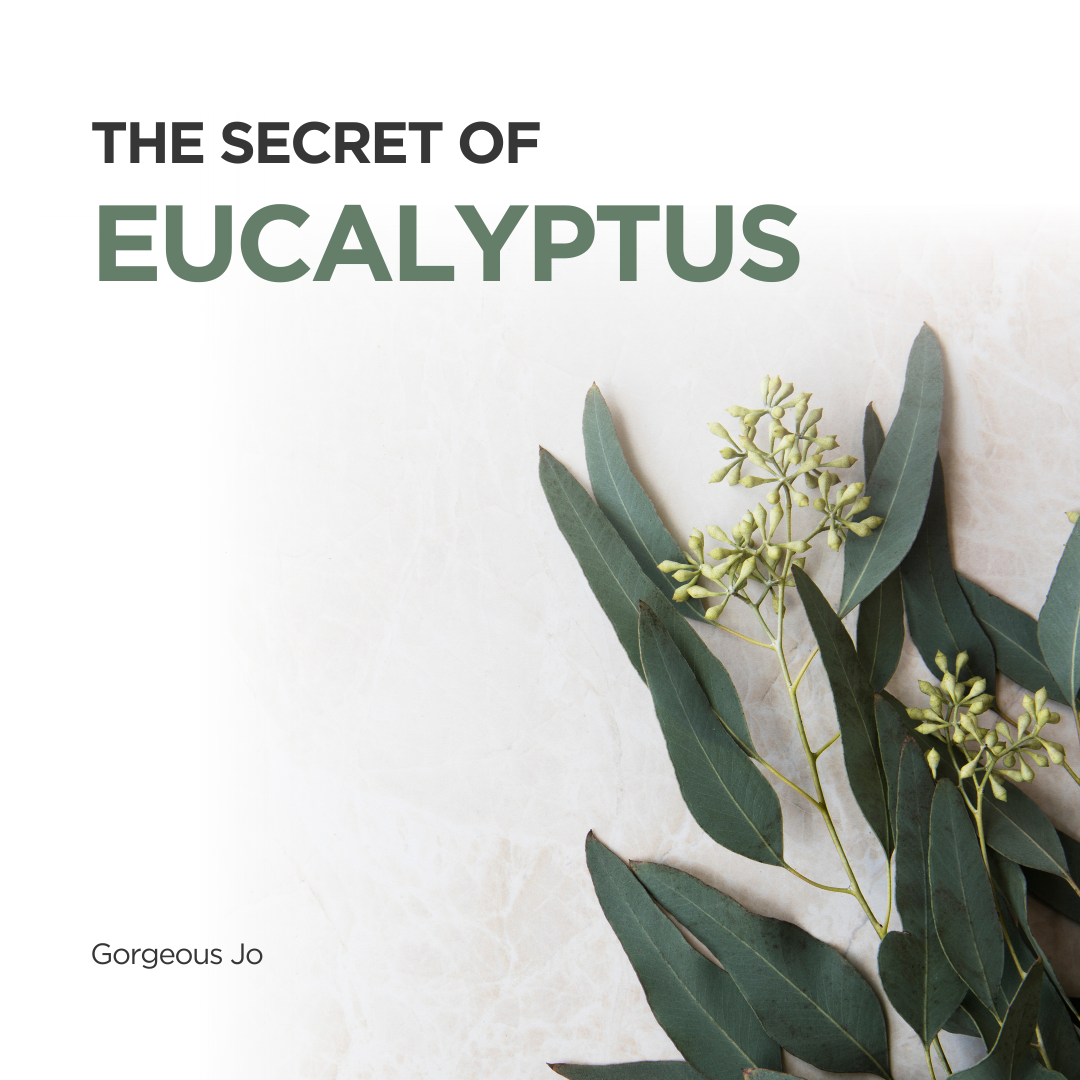 The Secret of Eucalyptus - GJ Group Sdn Bhd