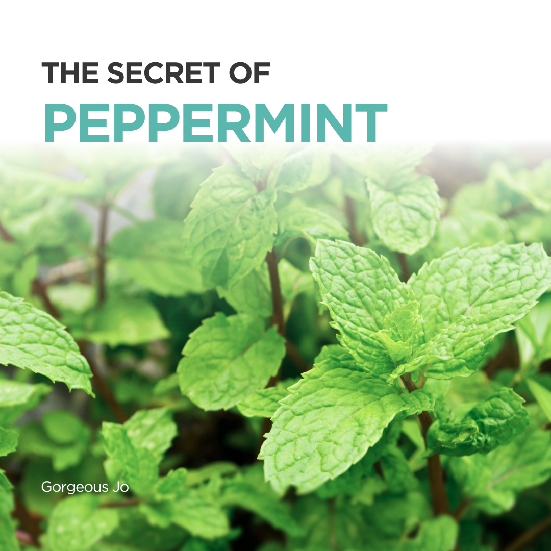 The Secret of Peppermint - GJ Group Sdn Bhd