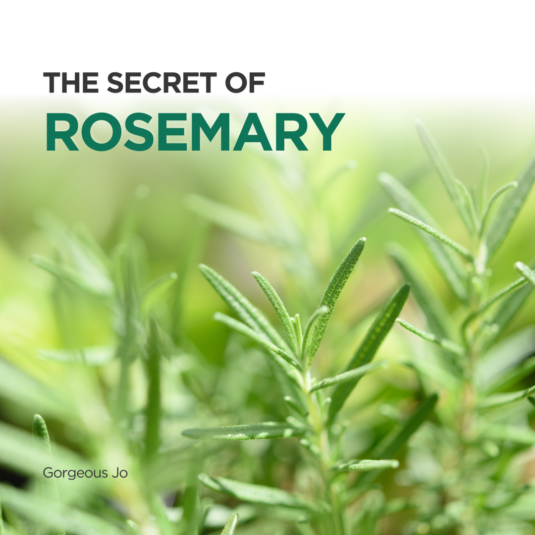 The Secret of Rosemary - GJ Group Sdn Bhd