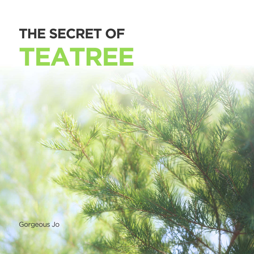 The Secret of Teatree - GJ Group Sdn Bhd