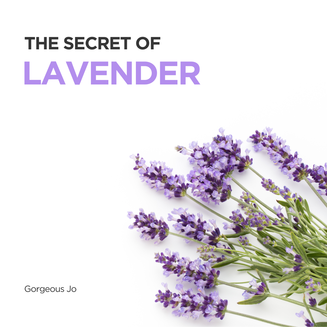 The Secret of Lavender - GJ Group Sdn Bhd